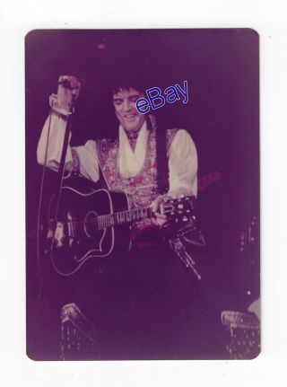 Elvis Presley Concert Photo - Gypsy King 1975 - Jim Curtin Vintage