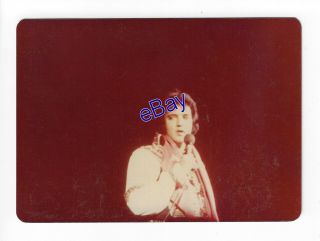Elvis Presley Concert Photo - 1975 Gypsy Suit - Jim Curtin Vintage