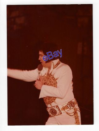 Elvis Presley Kodak Concert Photo - May 1977 - Jim Curtin Vintage Rare