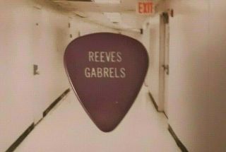 David Bowie Reeves Gabrels Purple Guitar Pick