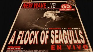 A flock of seagulls poster RARE Chile South America 2