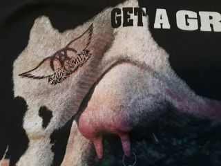 Vintage Aerosmith Get A Grip Tour Concert T - Shirt 1993 XL 3