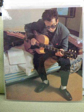 Vintage 8¾ " X 10½ " Elvis Costello Color Photograph