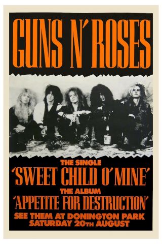 Guns & Roses at Dorrington Park England UK Concert Poster 1987 2