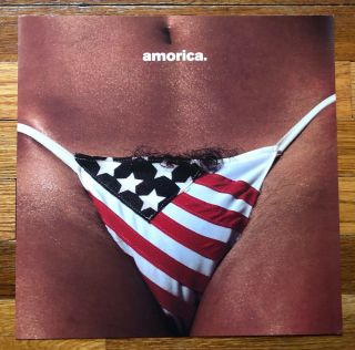 The Black Crowes Amorica Rare Promo 12 X 12 Poster Flat 1994