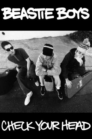 Beastie Boys Poster Check Your Head The 24 Inches By 36 Inches