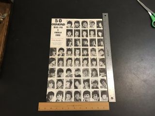 Osmond Brothers Fan Club Memorabillia,  50 Mini - Pix,  Uncut Sheet,  From Scrapbook