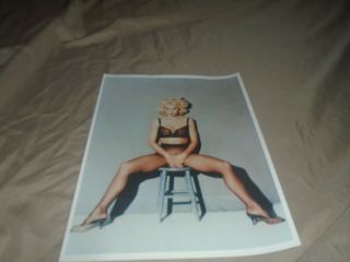 Madonna In Fishnet 8 X 10 Promo Photo