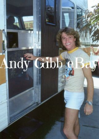 Rare Classic 5x7 Enlargement Andy Gibb