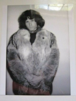 Doors 8x10 Photo T Jim Morrison Wearing A Fur Coat