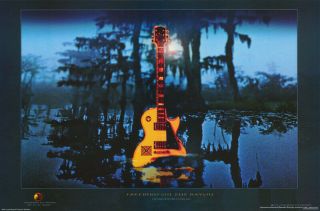 Poster : Music : Lynyrd Skynyrd - Freebird Cover Art - 3469 Lw16 C
