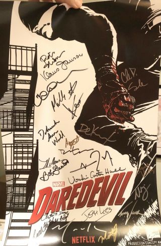 Signed Netflix Daredevil S1 13”x20” Poster 22 Signatures Cox,  Donofrio,  Woll,  Loeb