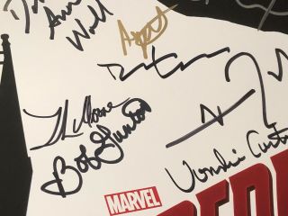 SIGNED NETFLIX DAREDEVIL S1 13”x20” Poster 22 SIGNATURES COX,  DONOFRIO,  WOLL,  LOEB 6