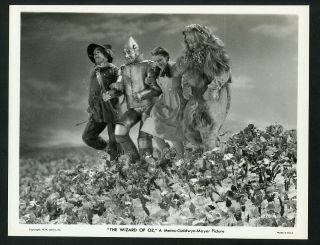 The Wizard Of Oz - Snow Scene In Poppy Field Vtg 1939 Mgm Still Photo