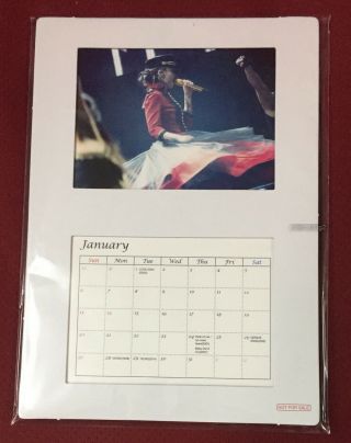 Namie Amuro Final Tour 2018 Finally Japan Promo 2019 - Year Desk Calendar