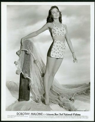 Dorothy Malone Vintage 1940s Leggy Cheesecake Warner Bros.  Photo