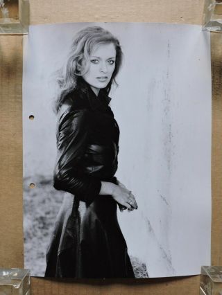 Sybil Danning Large Size Dw Fashion Portrait Photo By Fernantini 1970