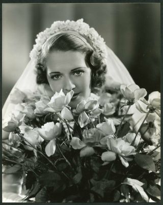 Ruby Keeler In Wedding Veil 1930s Elmer Fryer Stamp Portrait Dbwt Photo
