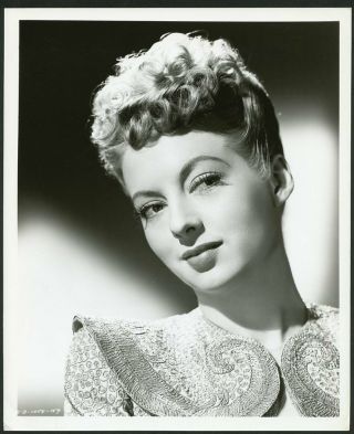Evelyn Keyes Vintage 1940s Portrait Photo