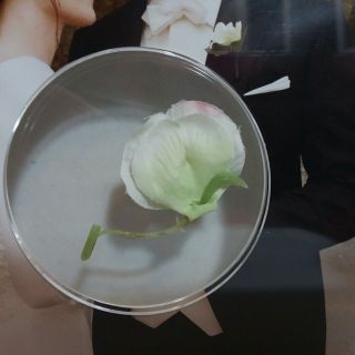 The Twilight Saga Breaking Dawn Part 1 Collectible Limited Edition Prop Flower 2