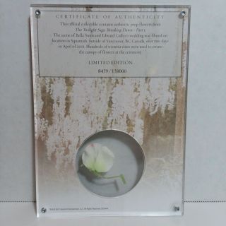 The Twilight Saga Breaking Dawn Part 1 Collectible Limited Edition Prop Flower 4