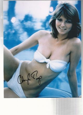 Vintage Cheryl Tiegs Personally Signed Publicity Photograph