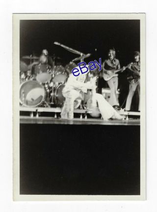 Elvis Presley Concert Photo Suspicious Minds 1974 - Jim Curtin Vintage