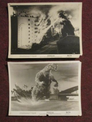 Godzilla - 1956 Movie Photos - Toho