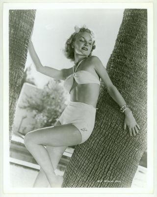 Sexy Janet Blair Studio Pin - Up Photo Swimsuit Palm Trees 1940s