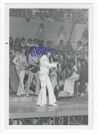 Elvis Presley Kodak Concert Photo - Eagle Suit 1973 - Jim Curtin Rare