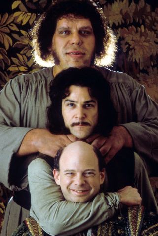 Andre The Giant Wallace Shawn Mandy Patinkin The Princess Bride 24x36 Poster