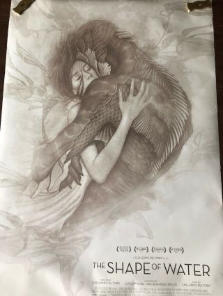 The Shape Of Water Movie Poster 27x40 D/s