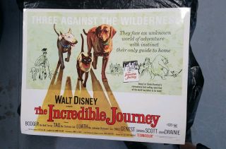 The Incredible Journey U.  S Half Sheet - Disney 1963 Poster
