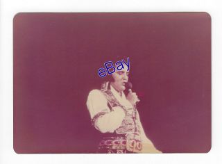 Elvis Presley Kodak Concert Photo - Gyspy Jumpsuit 1975 - Jim Curtin
