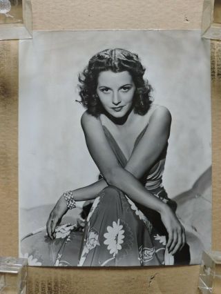 Julie Bishop Glamour Studio Portrait Photo By Welbourne 1941