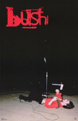 Poster: Music: Bush - Gavin Rossdale Live - On His Back 6170 Rc40 P