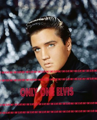 1958 Elvis Presley In The Movies 8x10 Photo " King Creole " Rare Studio Shot 2