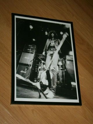 The Ramones Joey Punk Rock Framed