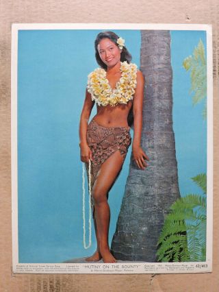 Tarita In A Sarong Leggy Barefoot Color Portrait Photo 1962 Mutiny On The Bounty