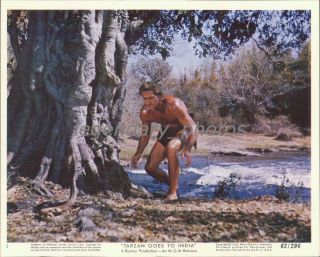 1962 Tarzan Goes To India Jock Mahoney Leo Gordon Press Photo