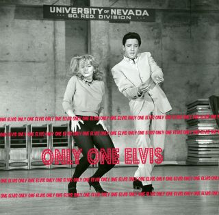 Elvis Presley Movies 1964 8x10 Photo Viva Las Vegas Ann - Margret C 