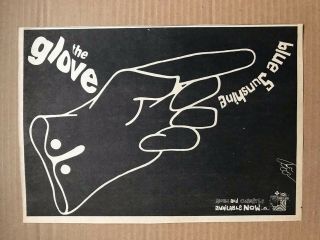 Glove Blue Sunshine Memorabilia Music Press Advert From 1983 - Printed