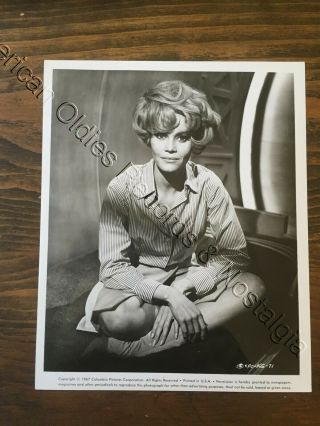 Dorothy Provine: 1967 " Kiss The Girls And Make Them Die " Movie Photo
