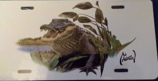 Alligator Car Plate (decorative)