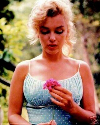 Marilyn - Flower Monroe 24x36 Poster Print