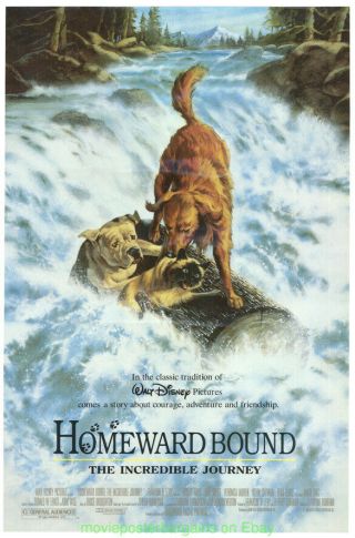 Homeward Bound : The Incredible Journey Movie Poster Mini - Sheet 18x27