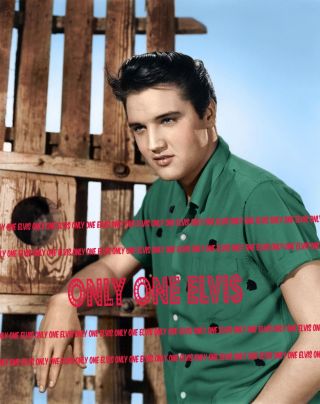 1958 Elvis Presley In The Movies 8x10 Photo " King Creole " Stunning Studio Pose