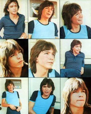 David Cassidy Poster Page.  The Partridge Family.  F75