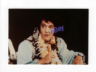 Elvis Presley Kodak Concert Photo - Bear Claw 1975 - Jim Curtin Rare