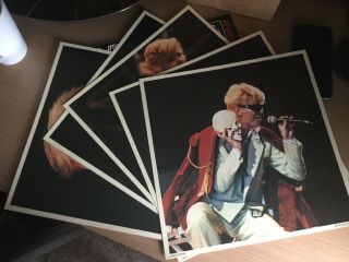 David Bowie Rare Anabas Fotofile 1983 Only 5 Photos But In Ex